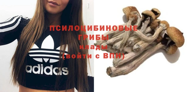 прущий лед Пестово