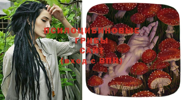 apvp Остров